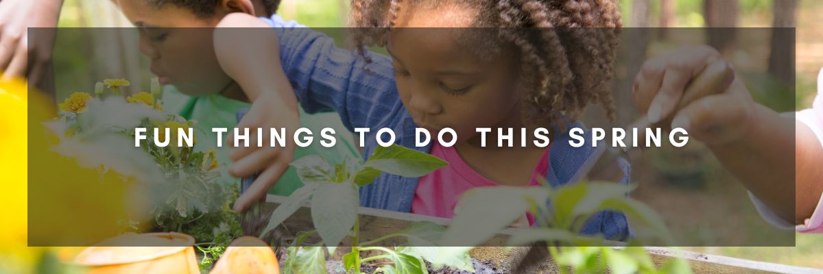 Fun Things to Do This Spring